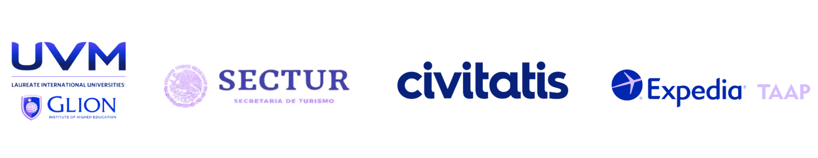 Bea's Travel Advisor Experience 2009 2025